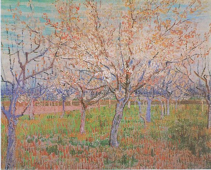 Vincent Van Gogh Orchard with flowering apricot-trees oil painting image